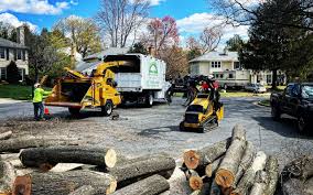 Best Tree Risk Assessment  in Blairsville, PA